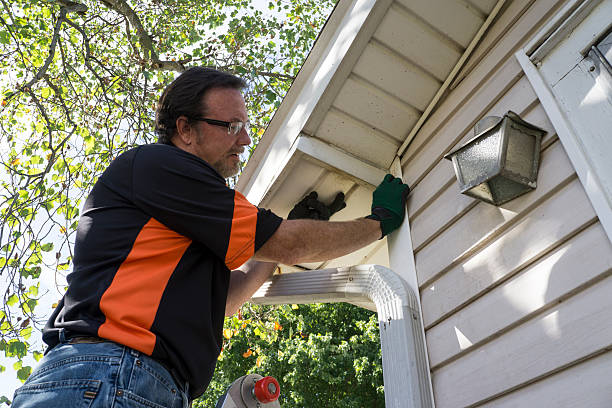 Storm Damage Siding Repair in Pineland, TX